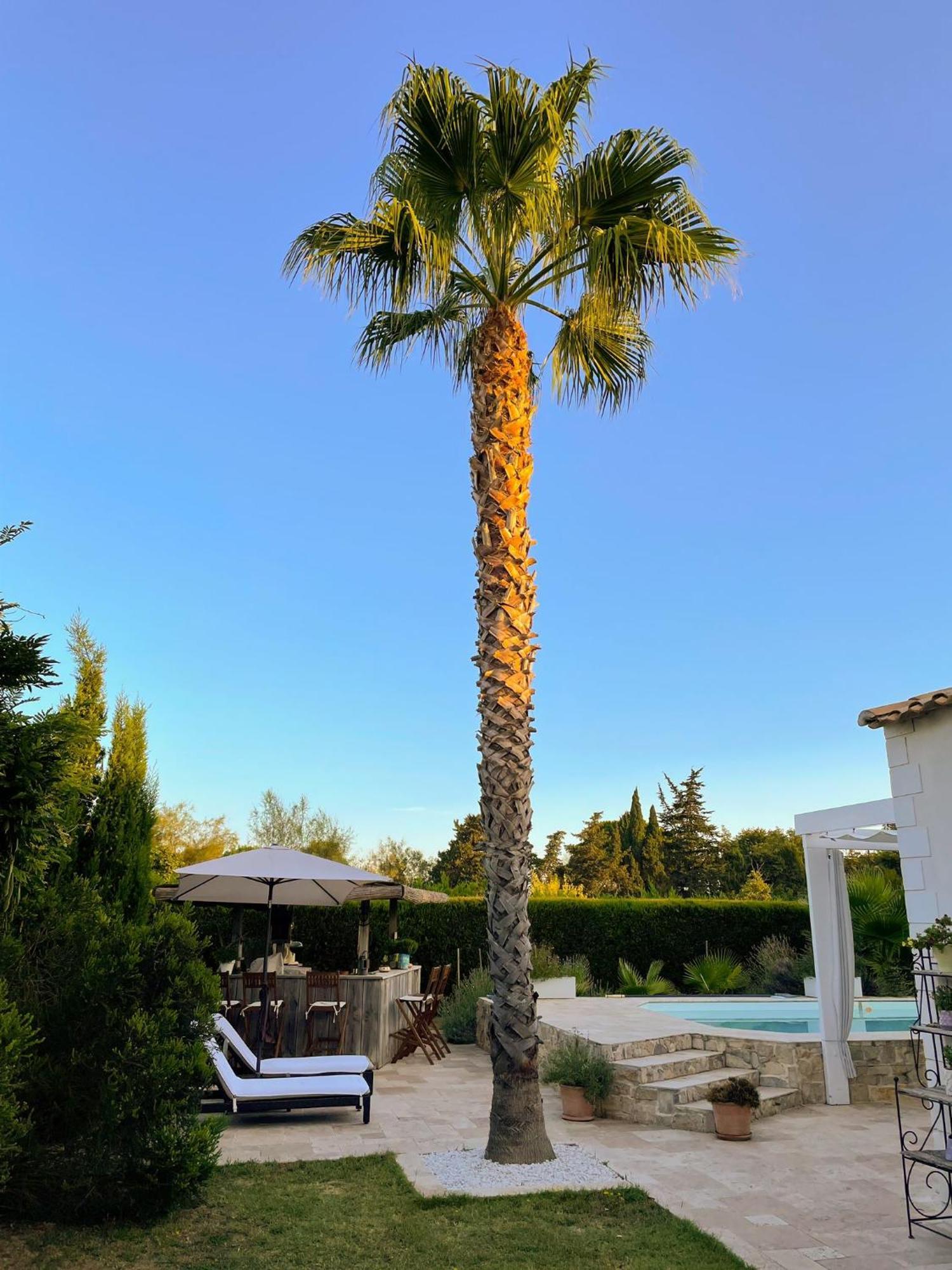 Aigues Marines Bed & Breakfast Екстериор снимка